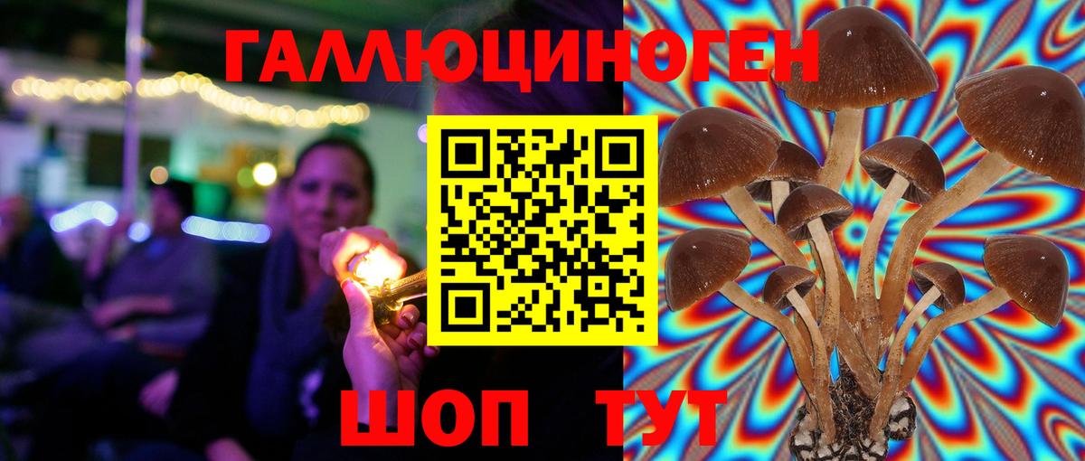 Карпинск  Галлюциногенные грибы MAGIC MUSHROOMS  Вход с VPN 